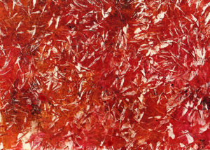 gelli print mono print