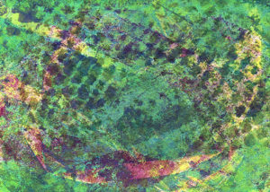 gelli print mono print