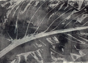 gelli print mono print