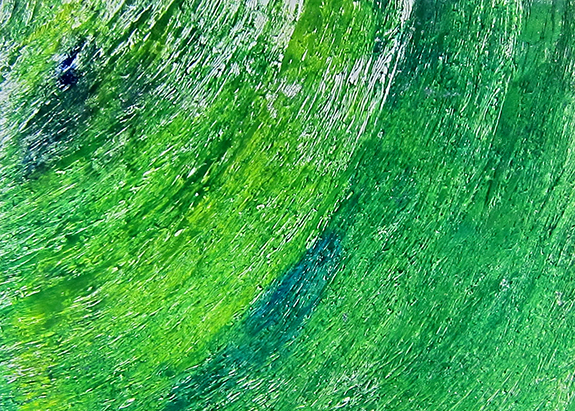 Monoprint