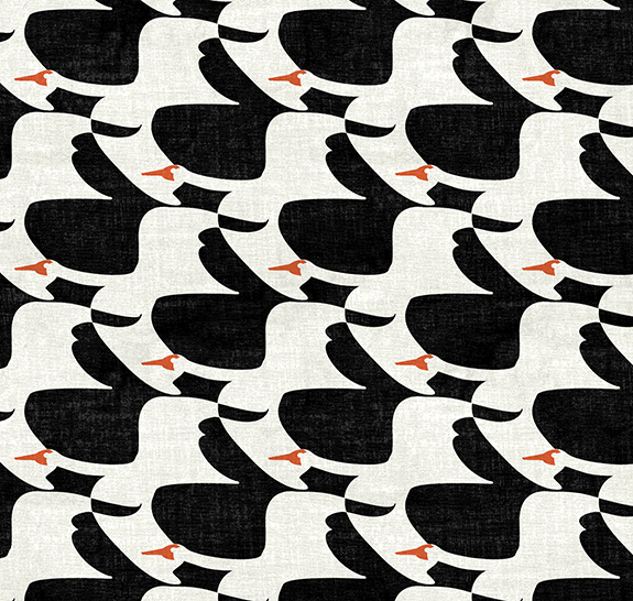 white swans orange beaks