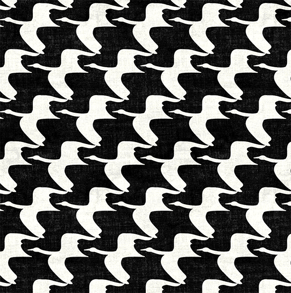 white swans on black background