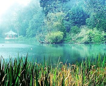 Photography: Stowe Lake
