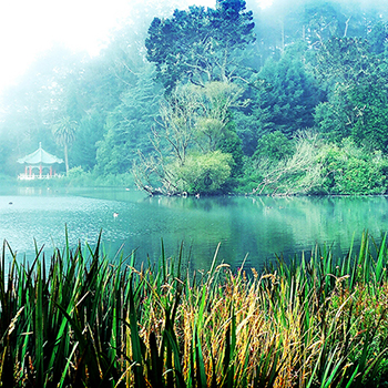 Photography: Stowe Lake