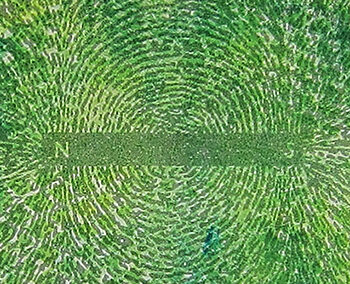 Surface Design